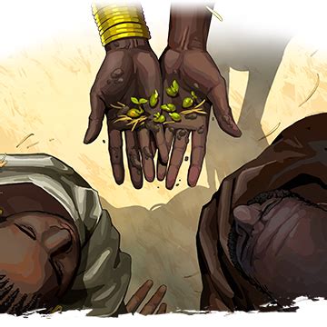 Image result for Humankind Seeds