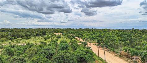 A Day Stay In Hosachiguru’s North Farms - Hosachiguru