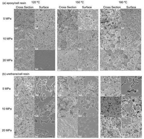 Development of Epoxy and Urethane Thermosetting Resin Using Chlorella ...