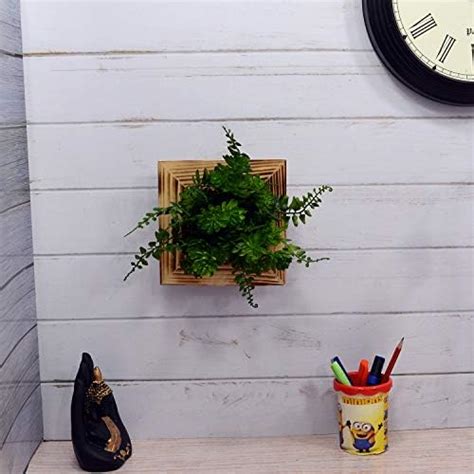 Buy fancymart Artificial Cactus Plant Wall Hanging Panel (Size : 7 Inch ...