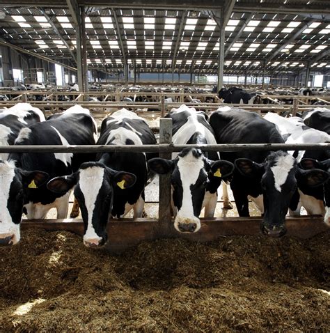 What is sundress season? The TikTok debate, explained. | Vox