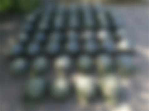 Военная хроника 2024 | ВКонтакте
