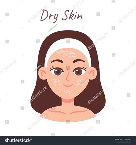 Skin Types 的图像结果