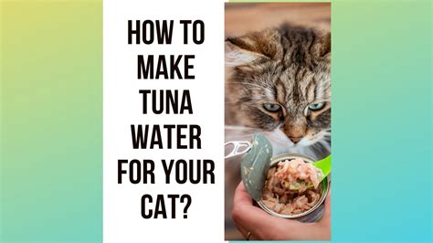 Can Cats Eat Tuna In Water