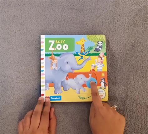 Busy Zoo : Rebecca Finn: Amazon.in: Books