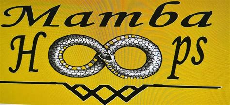 Mamba hoops fundraiser , 501 north main street, Vidor, TX, 4 May 2024 ...