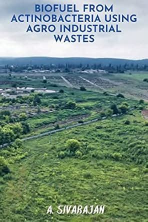 Buy BioFuel From Antinobacteria using Agro Industrial Wastes Book ...