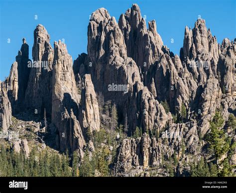 Cathedral Spires, Needles Highway, Custer State Park, Custer, South ...