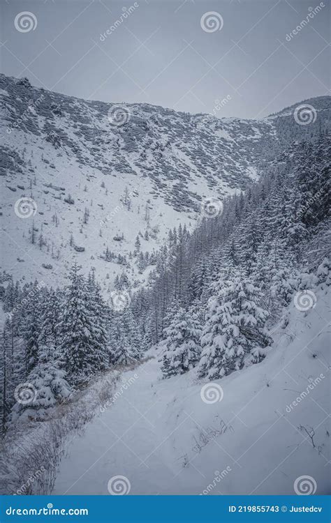Image result for Wave Function Collapse Algorithm Plant
