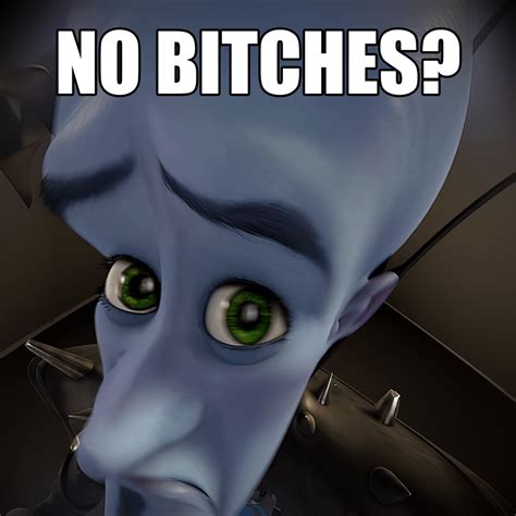 Megamind "No Bitches?" meme [3264x3264] : r/MemeRestoration