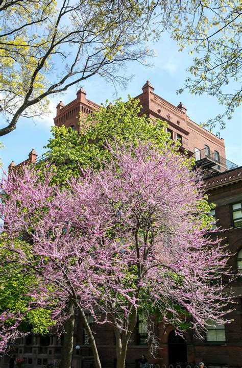 Pratt Institute Graduate Viewbook 2022–2023 by Pratt Institute - Issuu