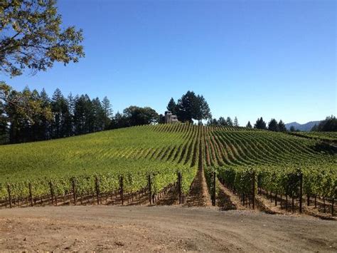 NV Tours Napa Limo Service (Yountville) - 2022 What to Know Before You ...