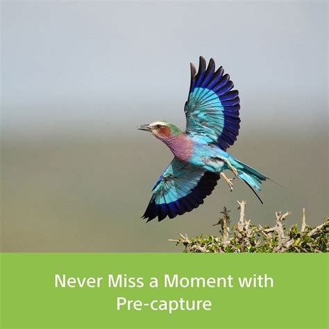 Sony Alpha 9III Full-Frame Interchangeable-Lens Mirrorless Camera (Bod