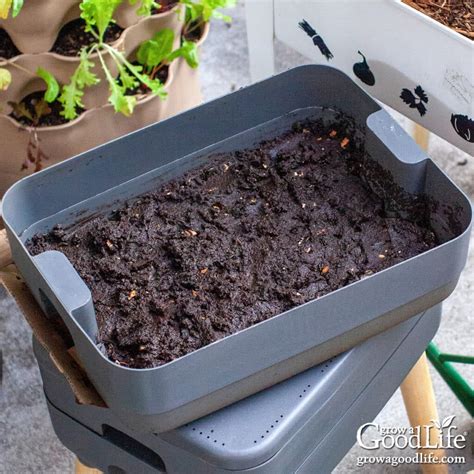 Easy Worm Bin Composting Worm Farming For Beginners: How To Compost
