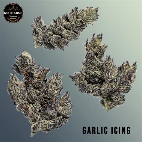 Garlic Icing - Kind Farms Reserve - Kind Farms Reserve