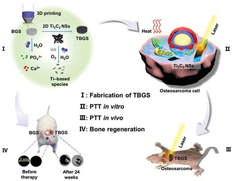 Two Hawks with One Arrow: A Review on Bifunctional Scaffolds for ...
