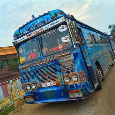 Image result for Bus Pattern Printing Image Using Java