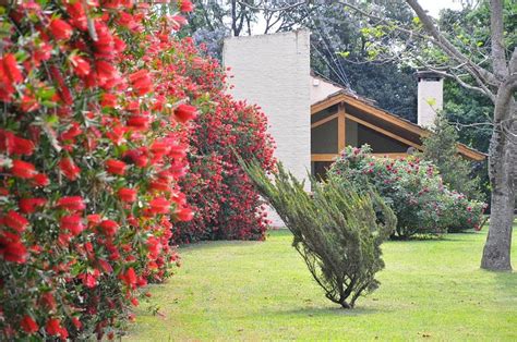 CABAÑAS NUESTRO REFUGIO (Gualeguay) - Villa Reviews & Photos - Tripadvisor