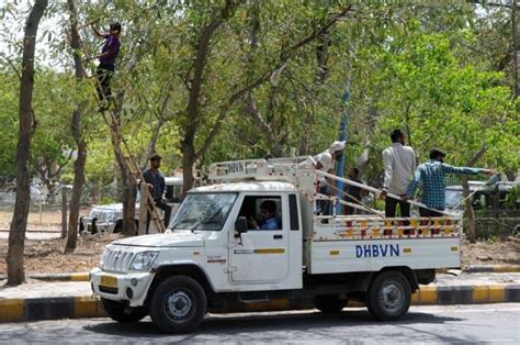 Tree pruning must before rain to prevent tripping of power:Power dept ...