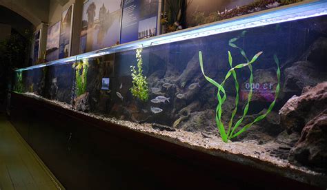 Water museum – Where to go, what to see, where to relax in Kyiv