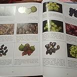 Indian Food Composition Tables