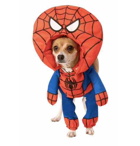 Dogs Wearing Spider Costume at Jerald Hunt blog