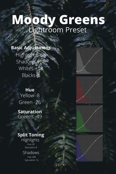 Free lightroom presets for dark moody landscape photography by adobe ...
