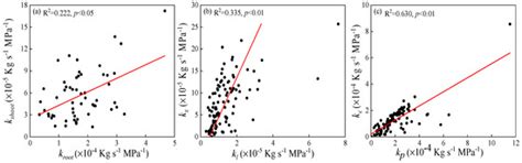 Hydraulic Characteristics of Populus euphratica in an Arid Environment