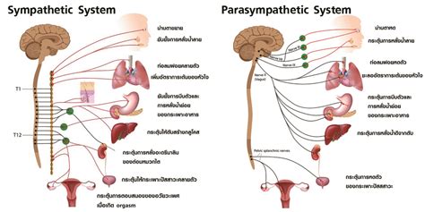 Image result for Alien Porta