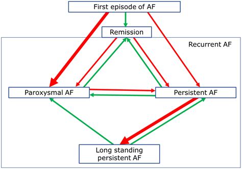 Remodeling in Persistent Atrial Fibrillation: Pathophysiology and Therapeutic Targets—A ...