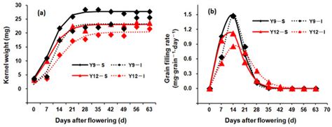 Strengthened Assimilate Transport Improves Yield and Quality of Super Rice