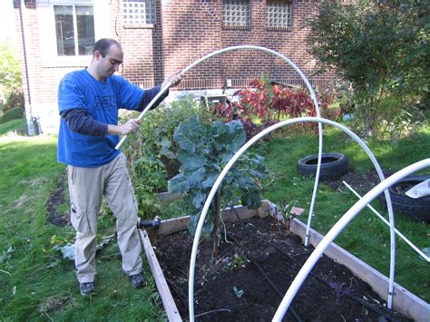 Image result for PVC Pipe Cold Frame