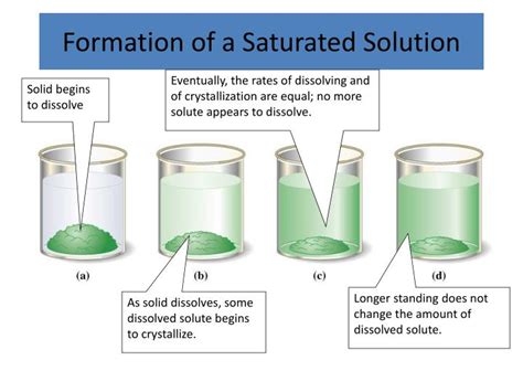 https://image1.slideserve.com/3105812/formation-of-a-saturated-solution-n.jpg