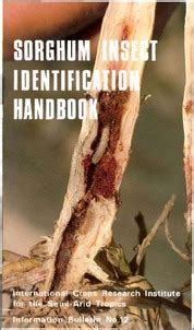 Sorghum insect identification handbook - OAR@ICRISAT