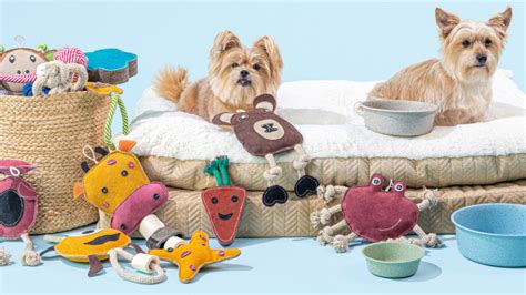 LSA celebrates International Pet Day with an exclusive Pawpourri hamper