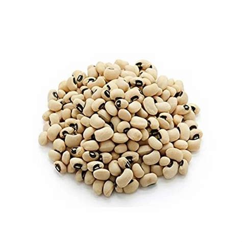 SEED & STEM HERBS - HYBRID SUNFLOWER SEED Trader - Wholesaler ...