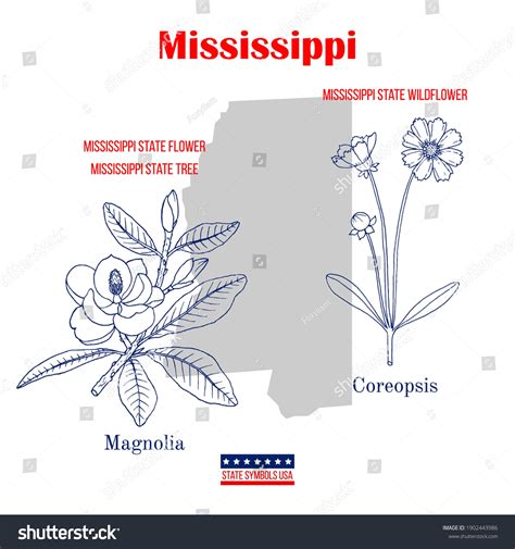 Mississippi Flower Drawing