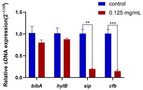 Zinc Oxide Quantum Dots May Provide a Novel Potential Treatment for ...