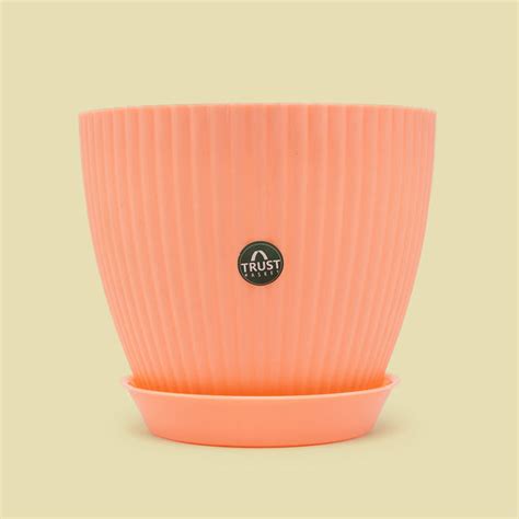 TrustBasket Bloom Pot With Saucer | Table Top Planter Pot (Pack of 4)