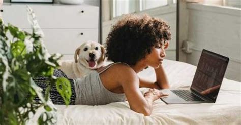 Image result for All Video Files