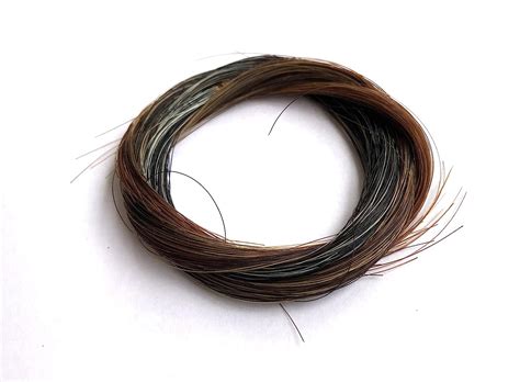 1 Hank of Mongolian Horse Bow Hair Horsehair for Sarangi, Violin, Viola ...