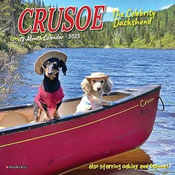Buy Crusoe the Celebrity Dachshund 2023 Mini Wall Calendar Book Online ...