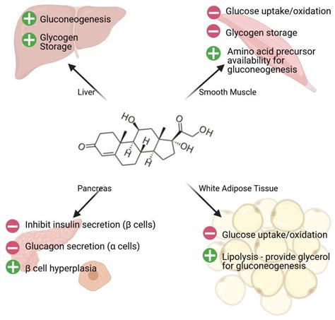 The ‘Jekyll and Hyde’ of Gluconeogenesis: Early Life Adversity, Later ...