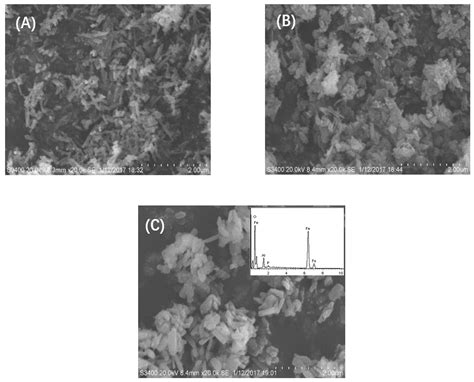 The Effect of Magnetic Composites (γ-Al2O3/TiO2/γ-Fe2O3) as Ozone ...