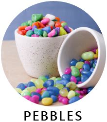 Buy Plants, Seeds, Pots, Garden Decor @ lowest price — Nurserylive