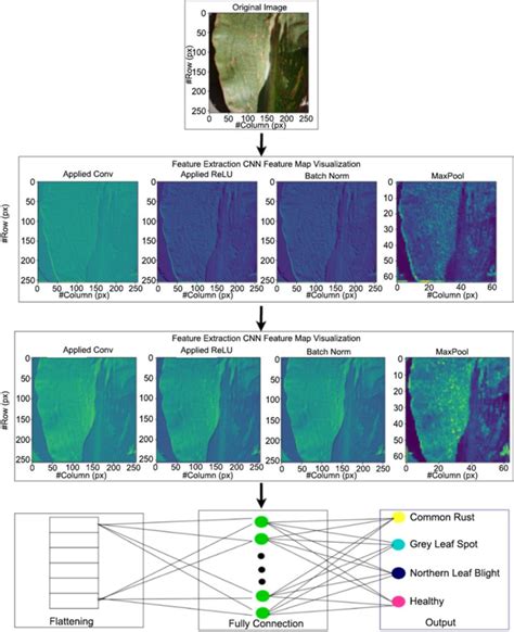 Model Building Data Science 的图像结果