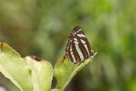 Techy Background 的图像结果