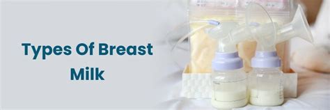 Understanding Different Types of Breast Milk