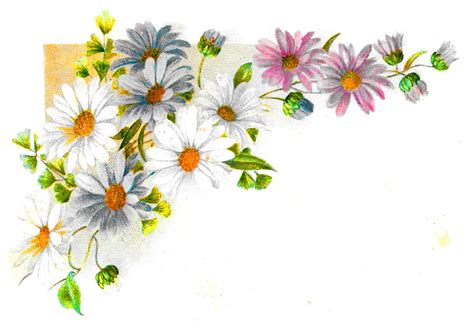 Green Daisy Flower Clip Art Daisies clipart wild flower, Daisies wild ...