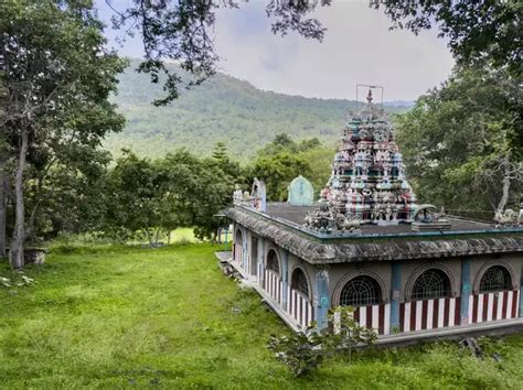 6 incredible places to visit in Tamil Nadu during May - Ooty – The ...
